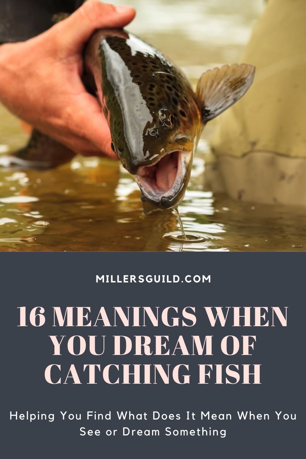 Meaning Of Dreaming Of A Fish In A River