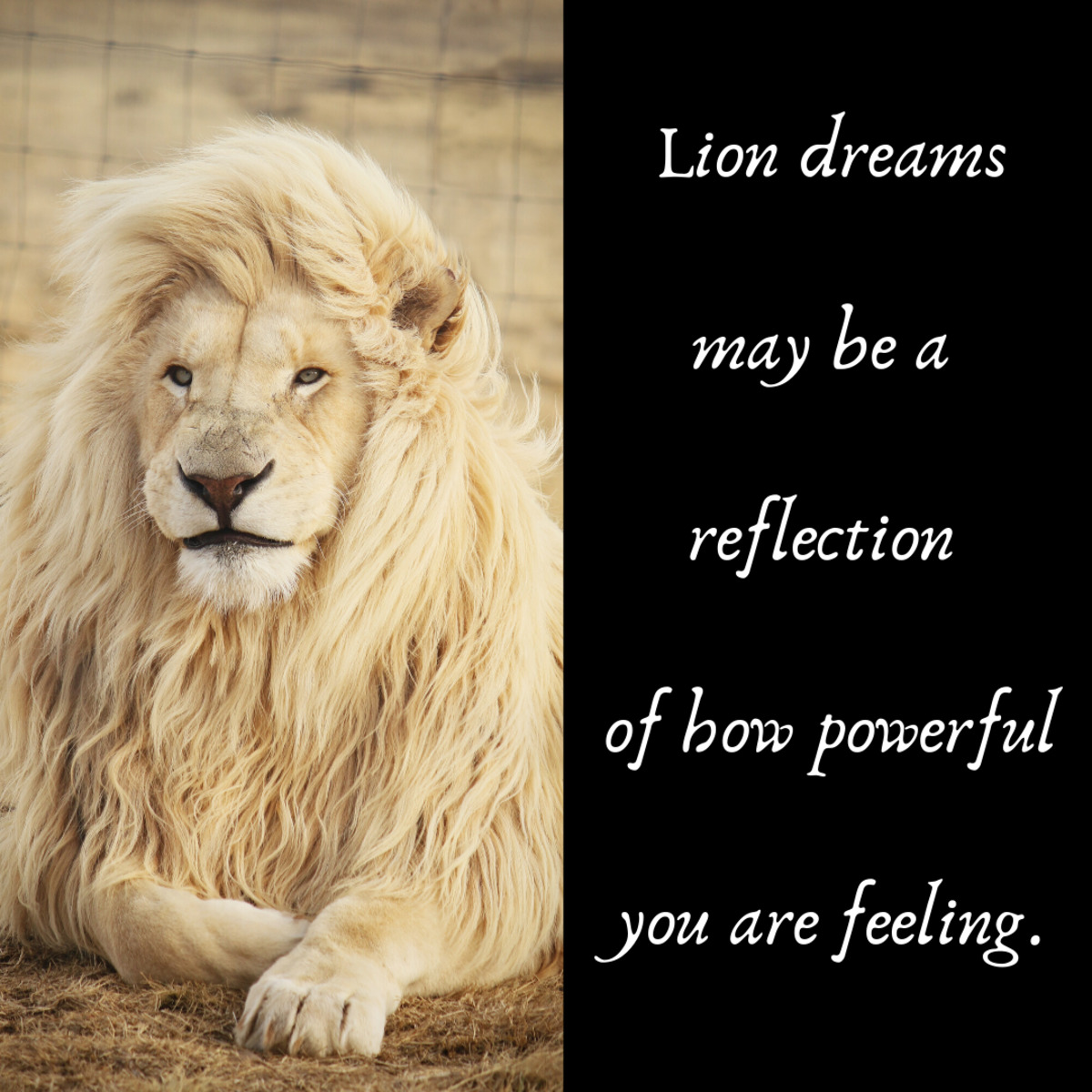 Meaning Of Female Lion In Dreams