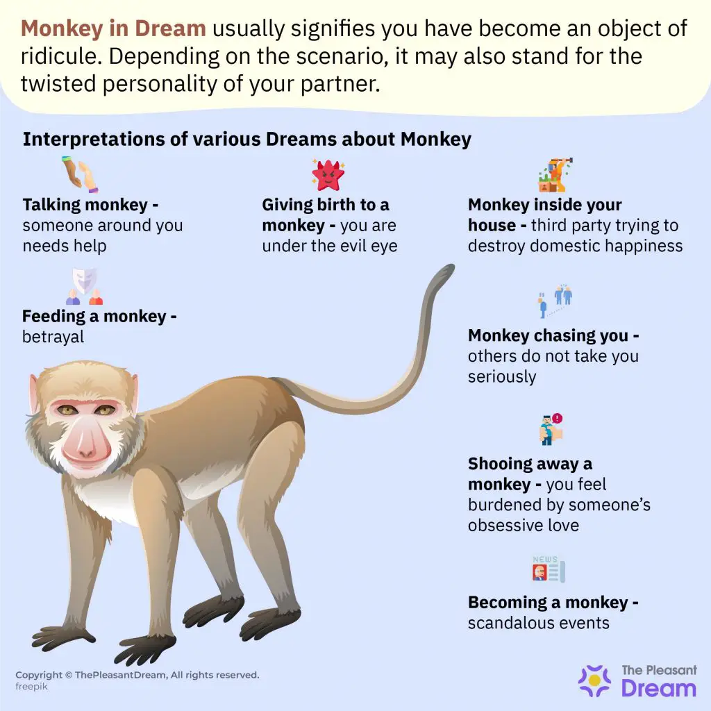 Monkey Symbolism In Dreams