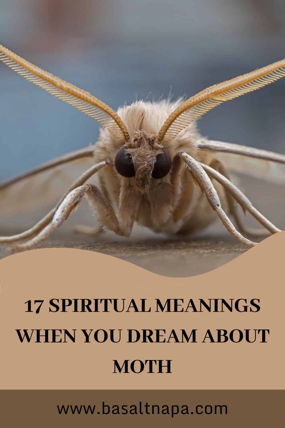 Moths And Spiritual Meaning
