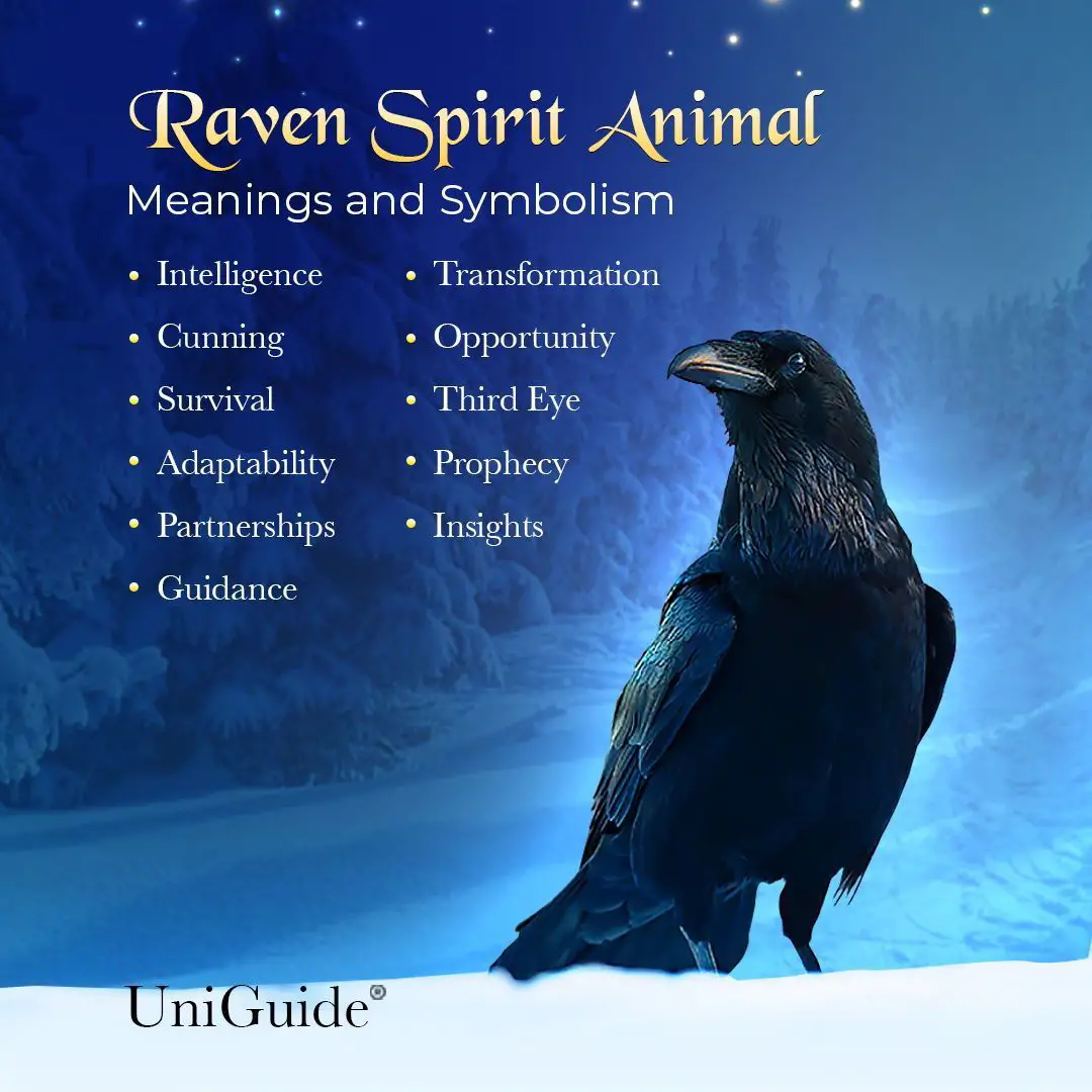 Mythology And Symbolism Of Crows