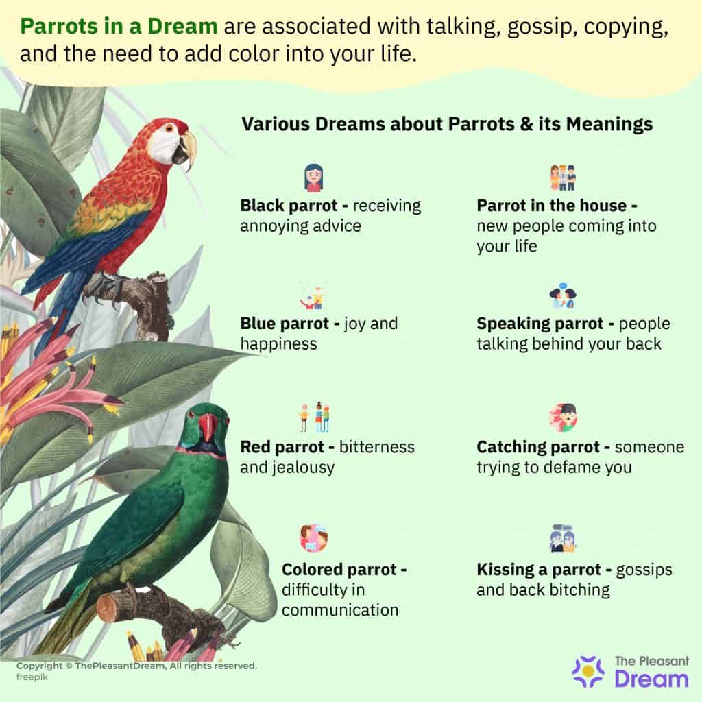 Other Meanings Of Birds