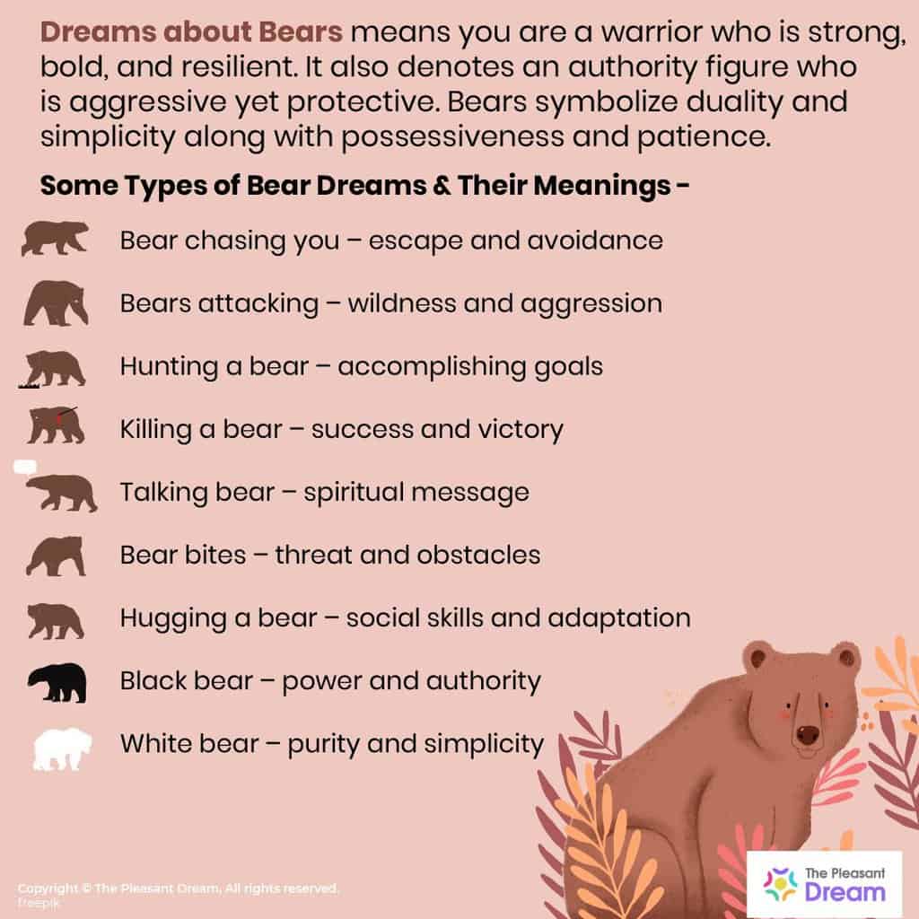 Other Species Of Bears