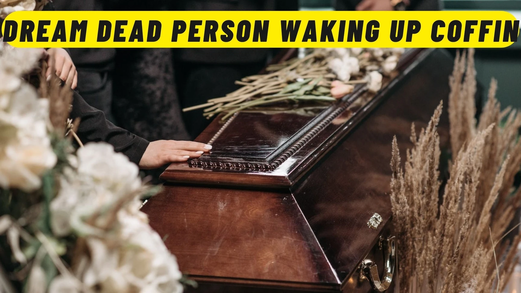 Possible Interpretations Of Dream Of Dead Person Alive In Coffin