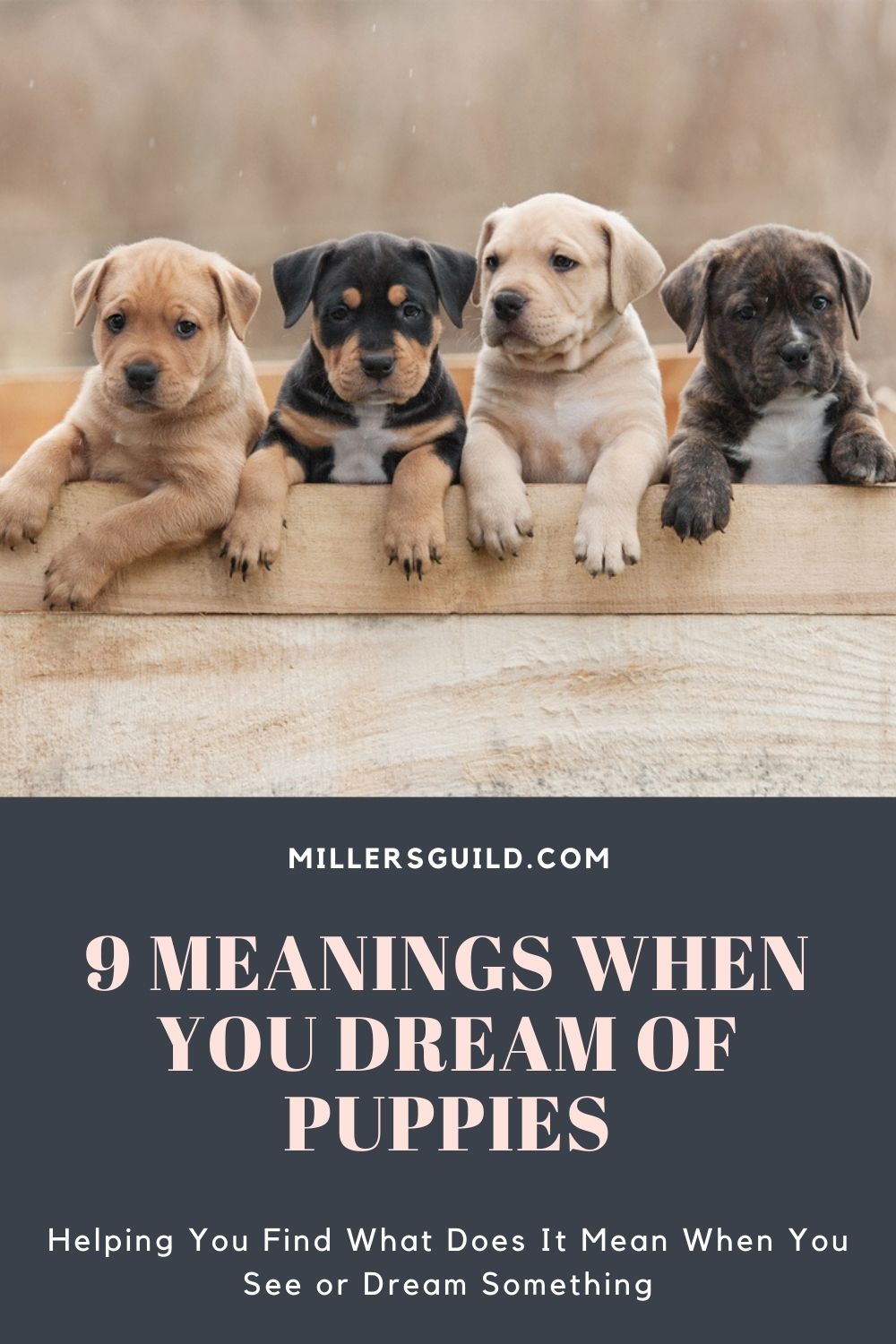 Psychological Meaning Of Puppies In Dreams