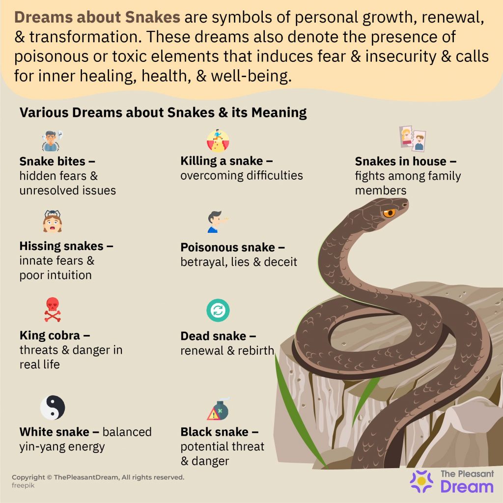 Psychological Meaning Of Snakes In Dreams