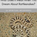 Uncovering the Spiritual Meaning Behind Rattlesnake Dreams