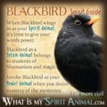 Seeing Black Birds: Uncovering the Spiritual and Dream Meaning Behind the Omen