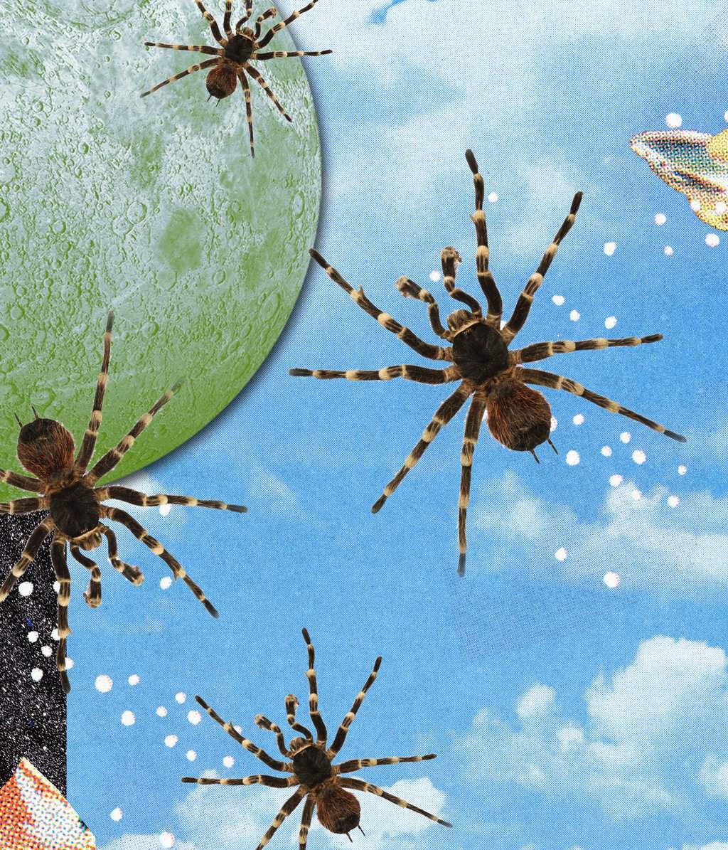 Uncover The Spiritual Meaning Behind Dreams Of Spiders