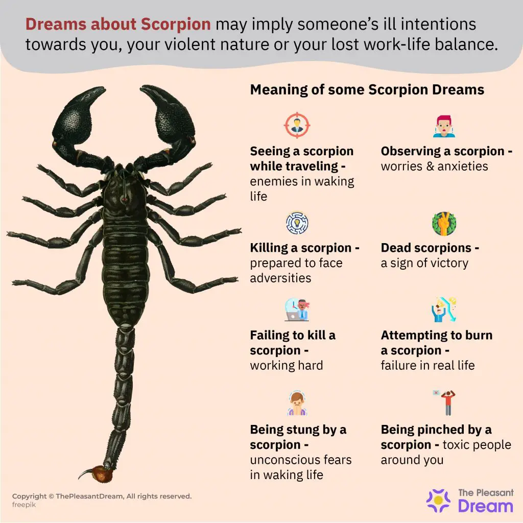Spiritual Meaning Behind Scorpion Dreams