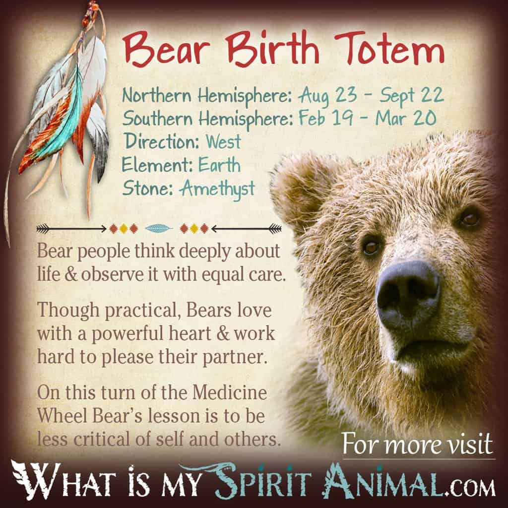 Spiritual Meaning Of Bears