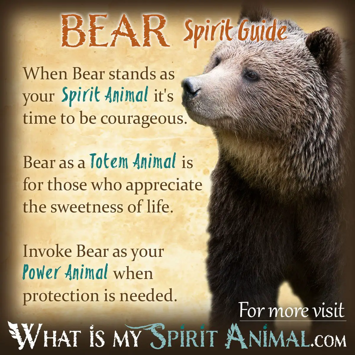 Spiritual Meaning Of Bears In Dreams