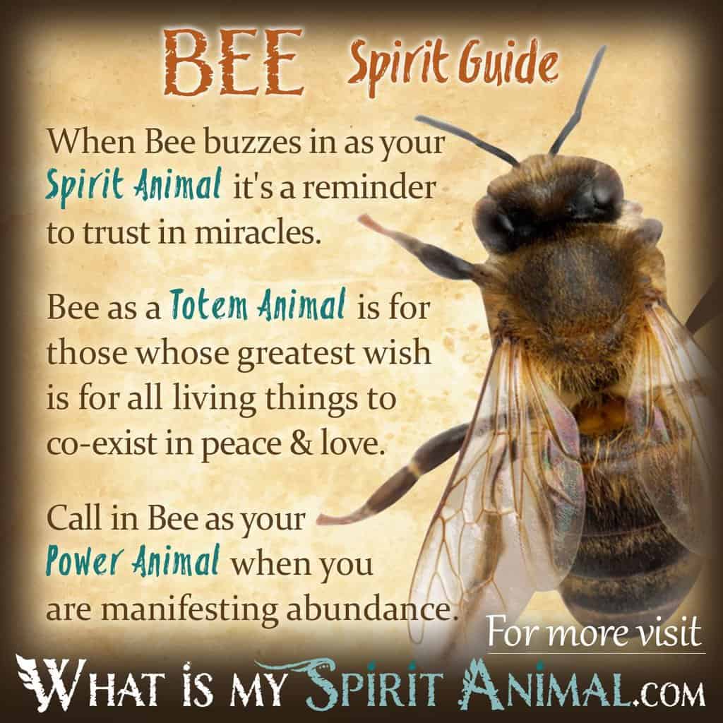Spiritual Meaning Of Bee