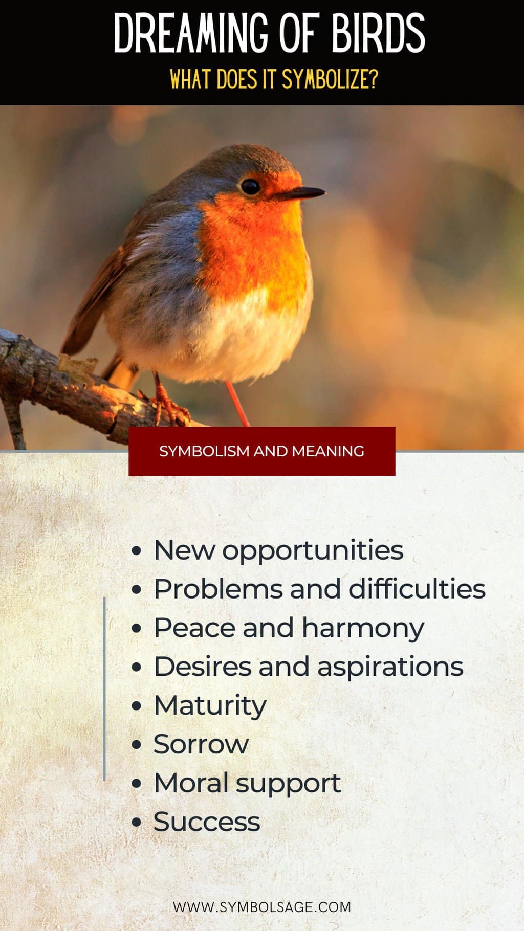Spiritual Meaning Of Birds