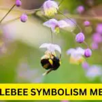 Uncovering the Spiritual Meaning of Dreaming of Bumble Bees