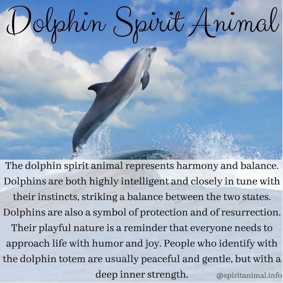Spiritual Meaning Of Dolphins