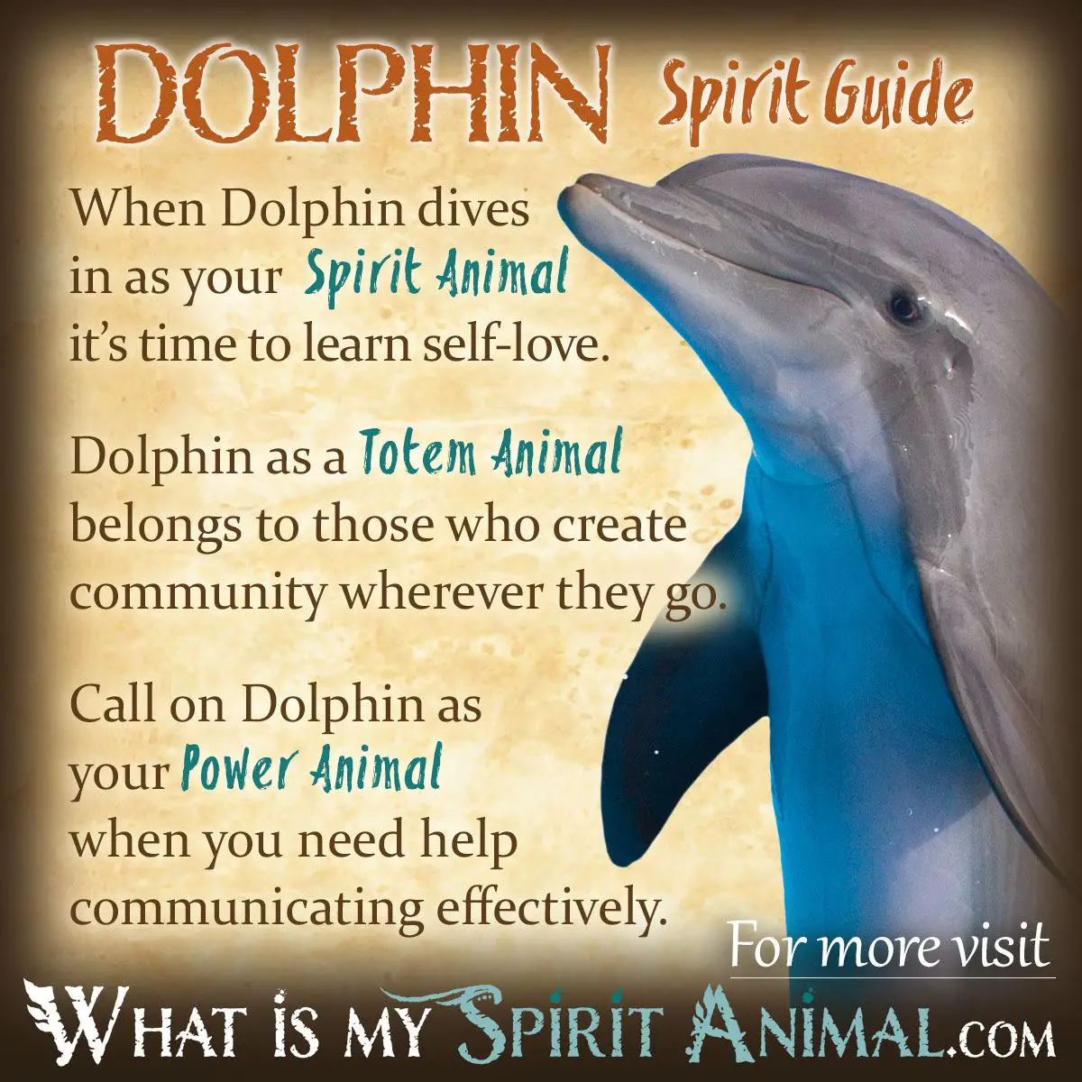 Spiritual Meaning Of Dreaming About Dolphins
