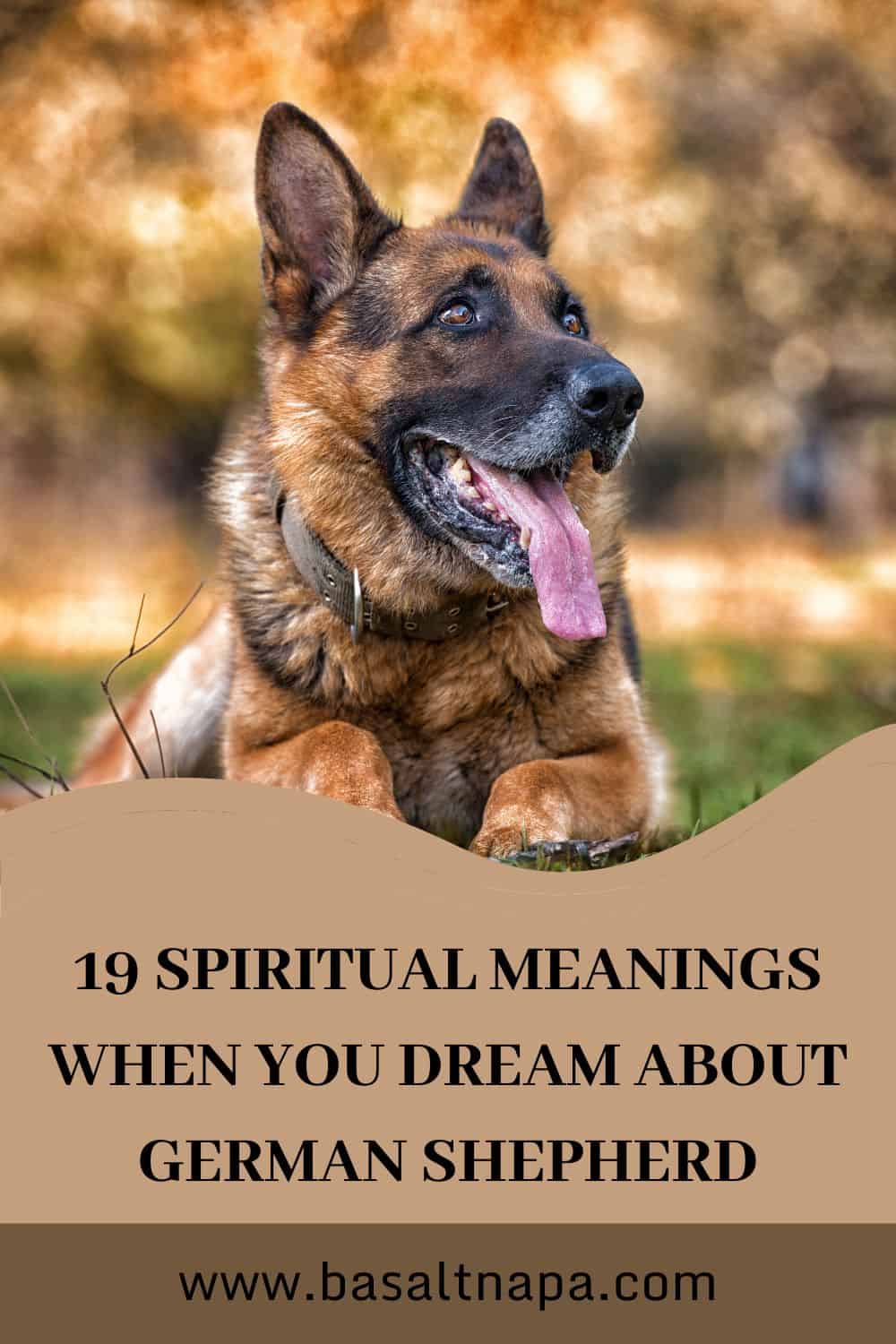 Spiritual Meaning Of German Shepherd Dreams