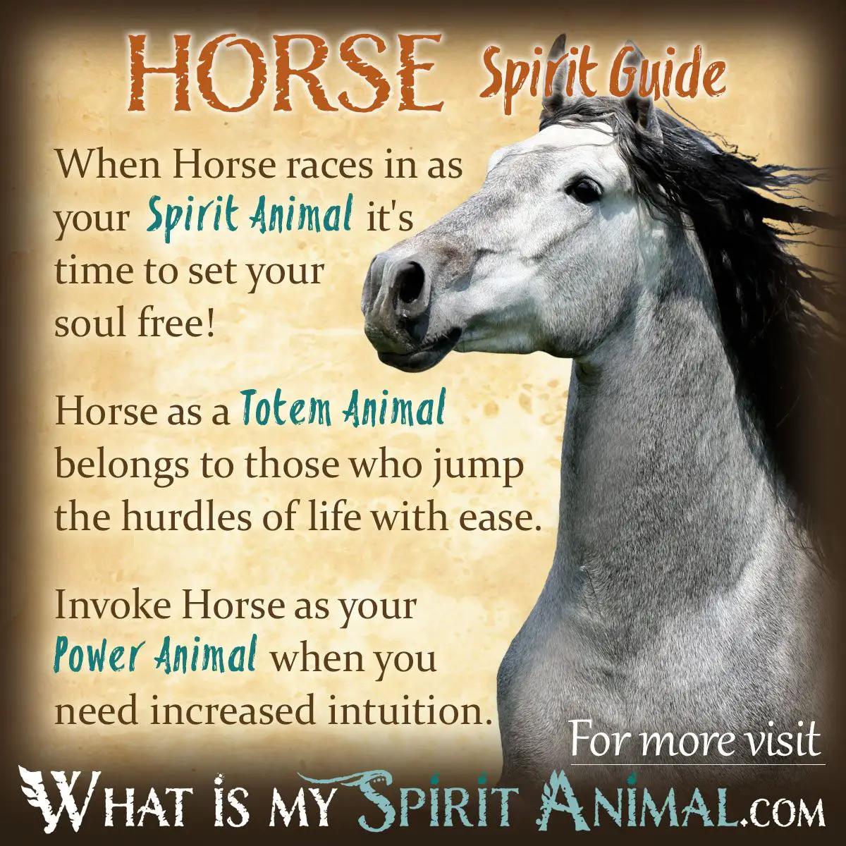 Spiritual Meaning Of Horses In Dreams