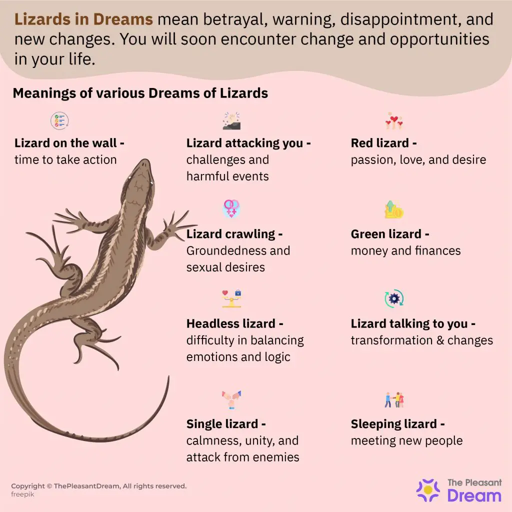 Spiritual Meaning Of Lizards