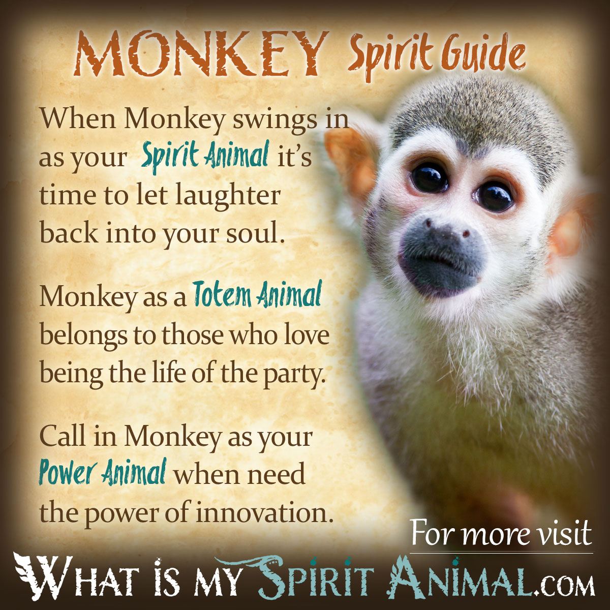 Spiritual Meaning Of Monkeys In Dreams