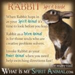 Uncover the Spiritual Meaning of Rabbits in Dreams