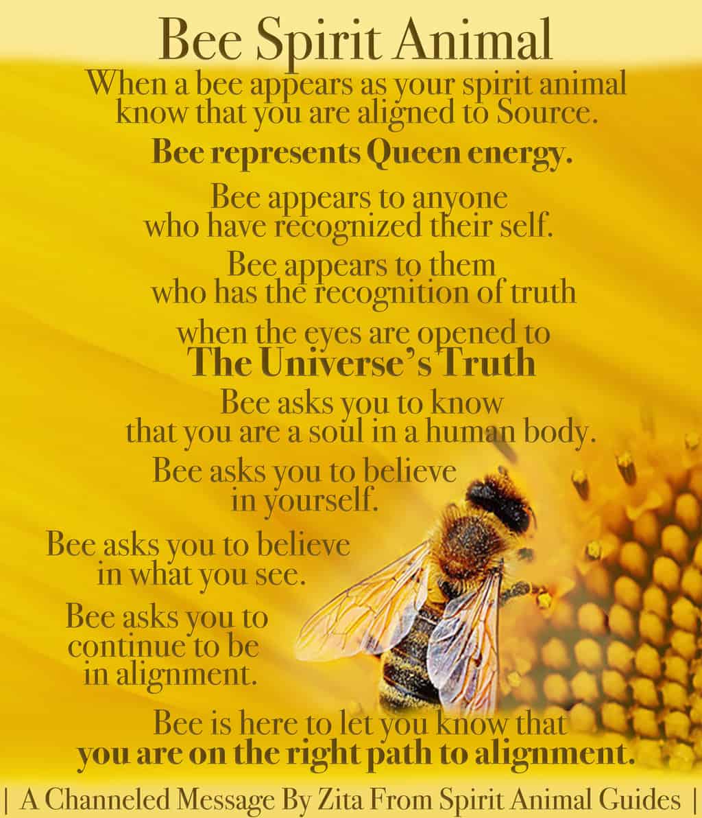Spiritual Meaning Of Seeing A Queen Bee