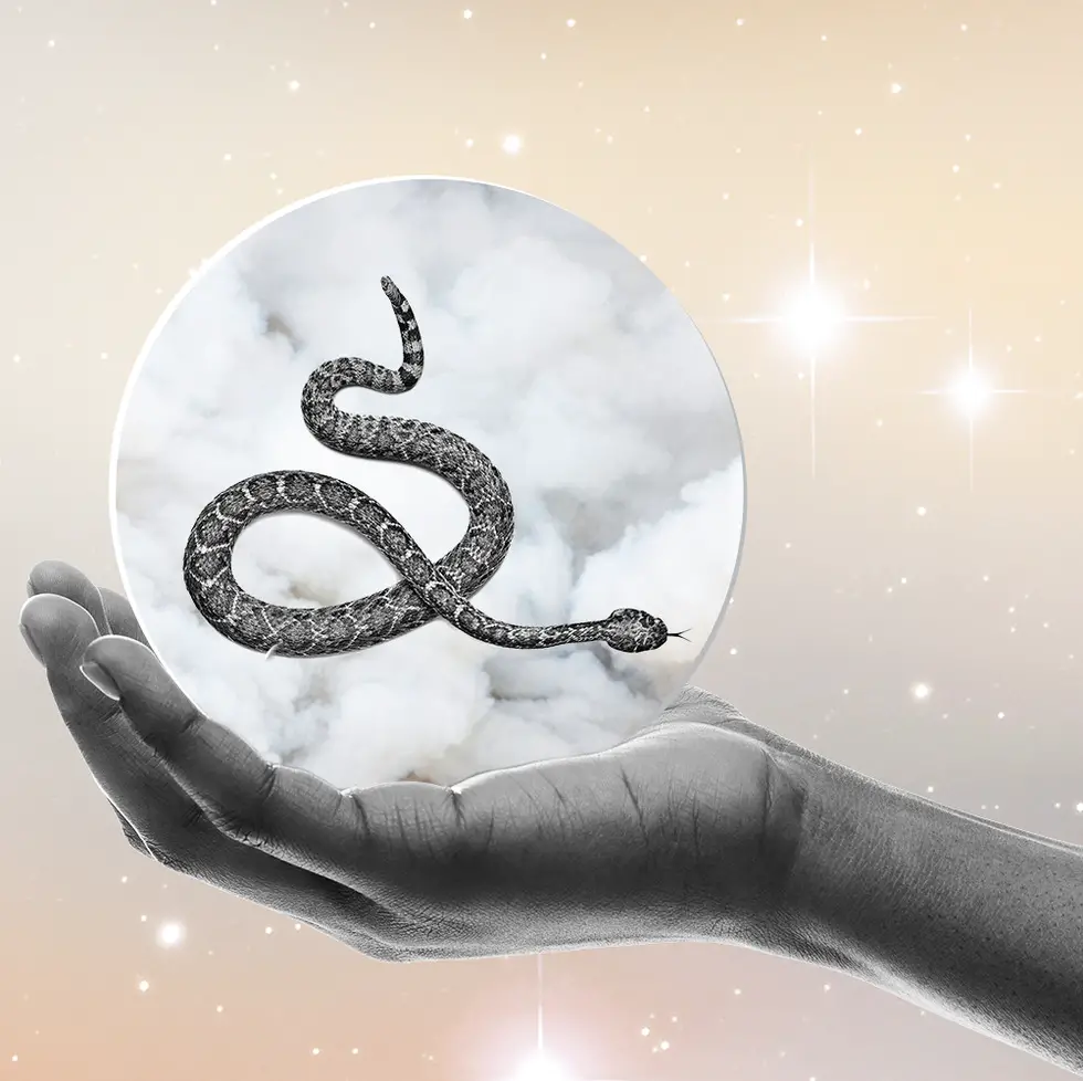Spiritual Meaning Of Snakes In Dreams