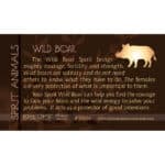 Unlock the Spiritual Meaning of Wild Boar in Your Dreams