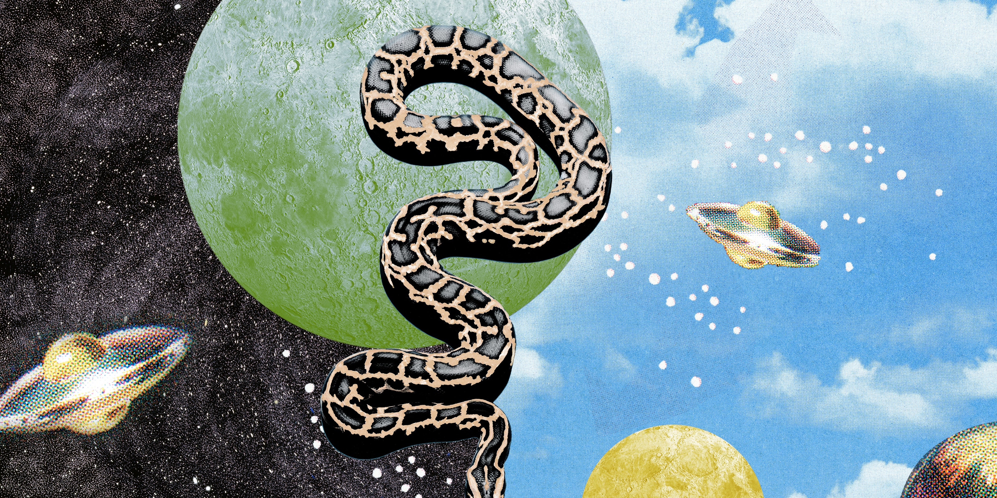 Symbolic Interpretations Of Green Snakes In Dreams