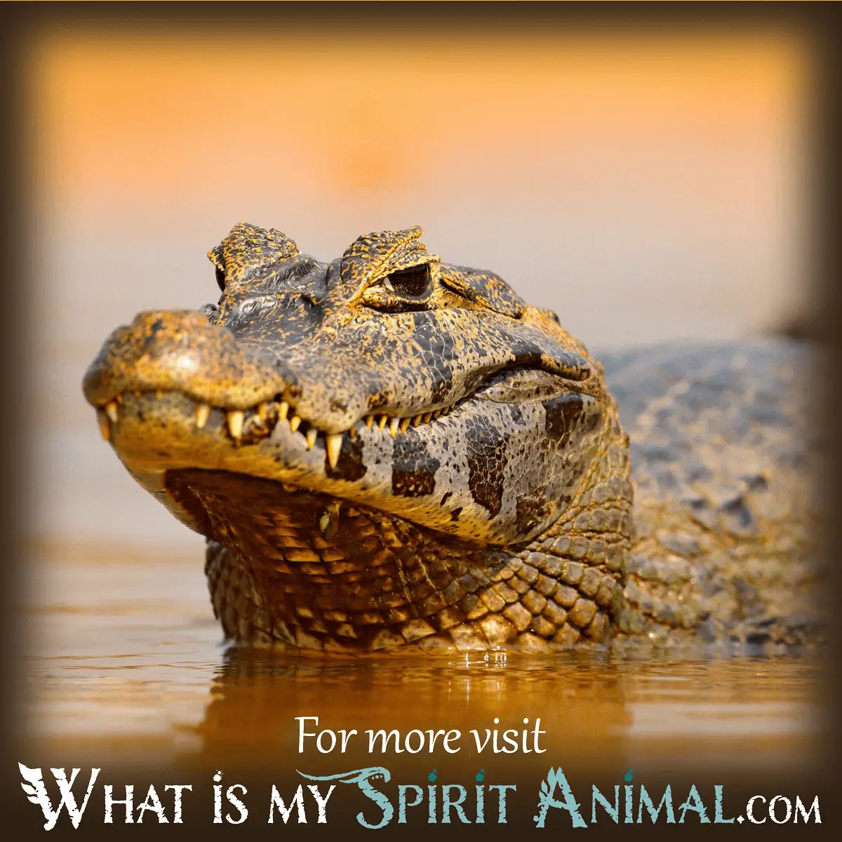 Symbolic Meaning Of Crocodiles In Dreams