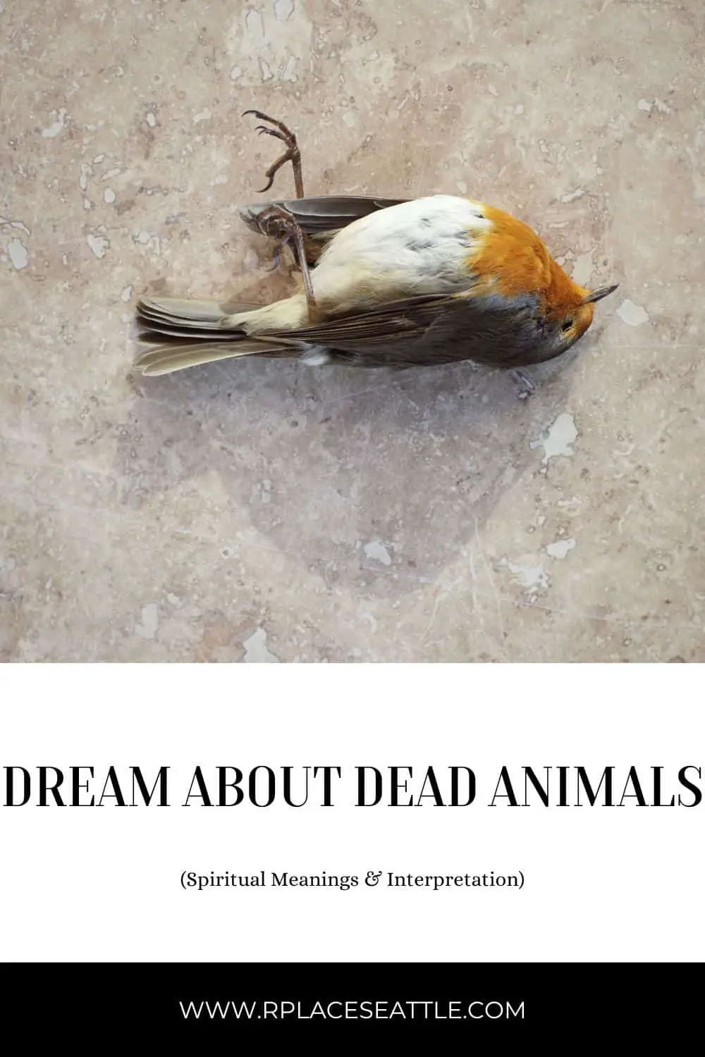 Symbolic Meaning Of Dead Animals In Dreams