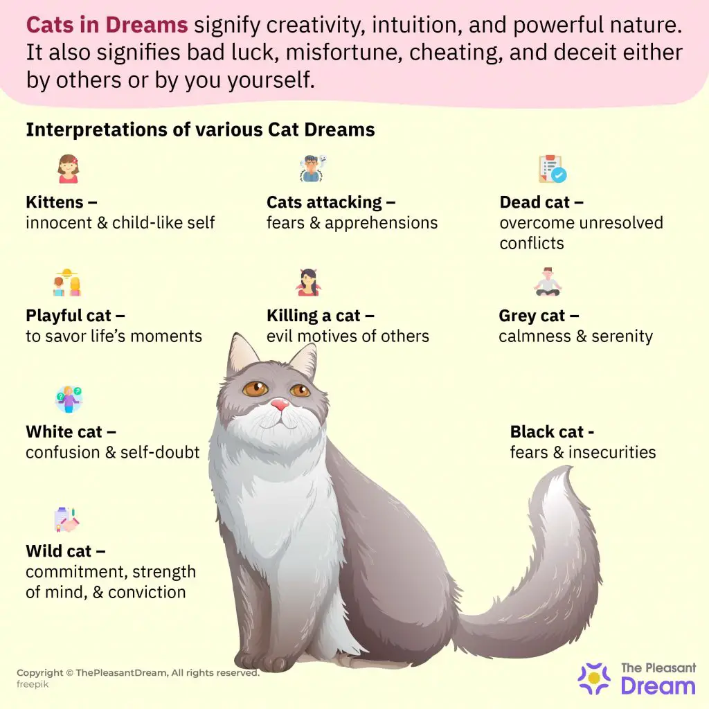 Symbolic Meaning Of Dead Cats In Dreams