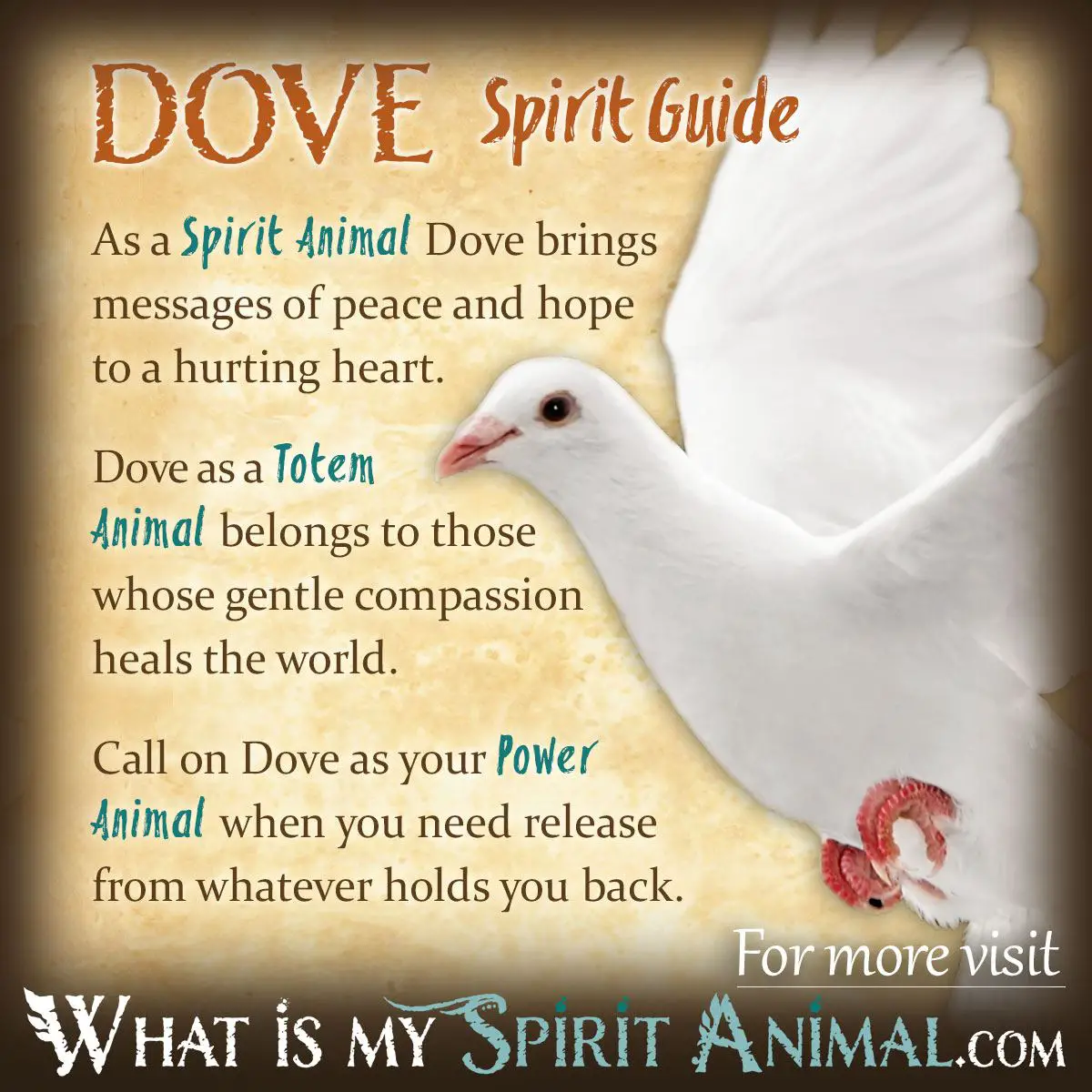 Symbolic Meaning Of Dreaming Of Doves
