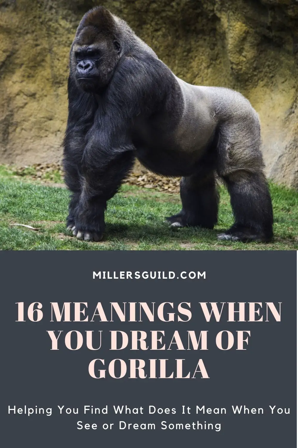 Symbolic Meaning Of Gorilla Dreams
