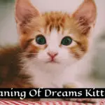 Uncover the Spiritual Meaning Behind Your Dream of Puppies and Kittens