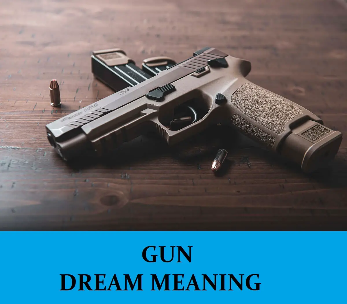 Symbolic Meanings Of Gun Dreams