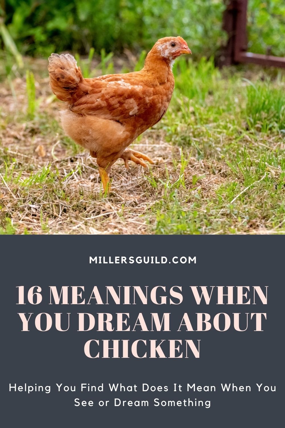 Symbolic Significance Of Baby Chicks In Dreams