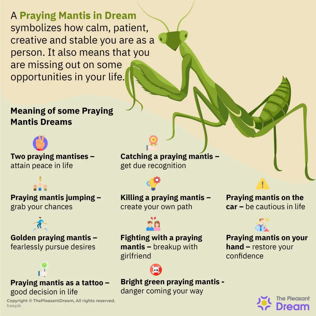 Symbolism Of Praying Mantis Dreams