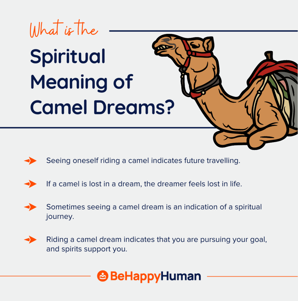 Symbolism Of The Camel In Dreams