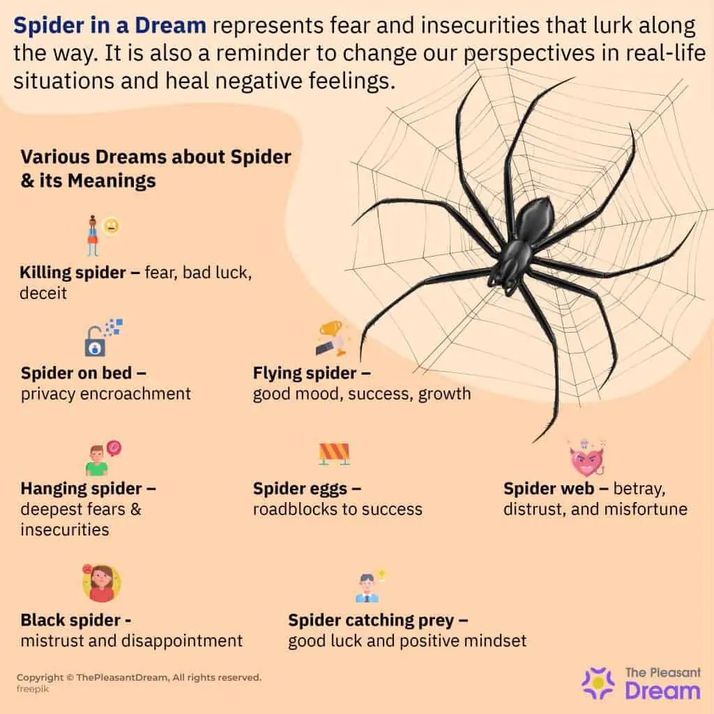The Meaning Of Spiders In Dreams