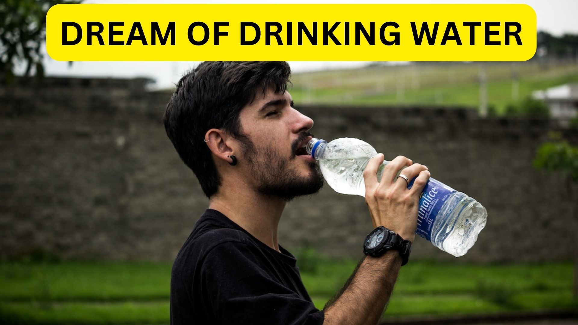 dream of drinking water