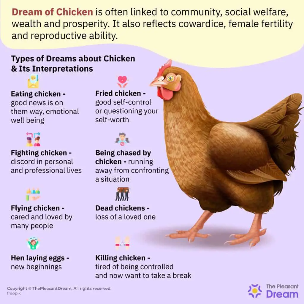 Types Of Chicken Dreams