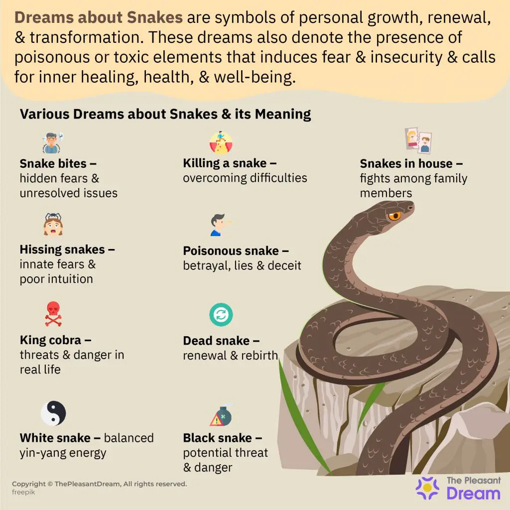 Types Of Dreams Involving A Cobra