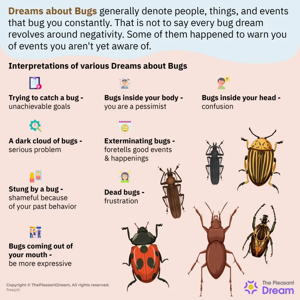 Types Of Insects In Dreams