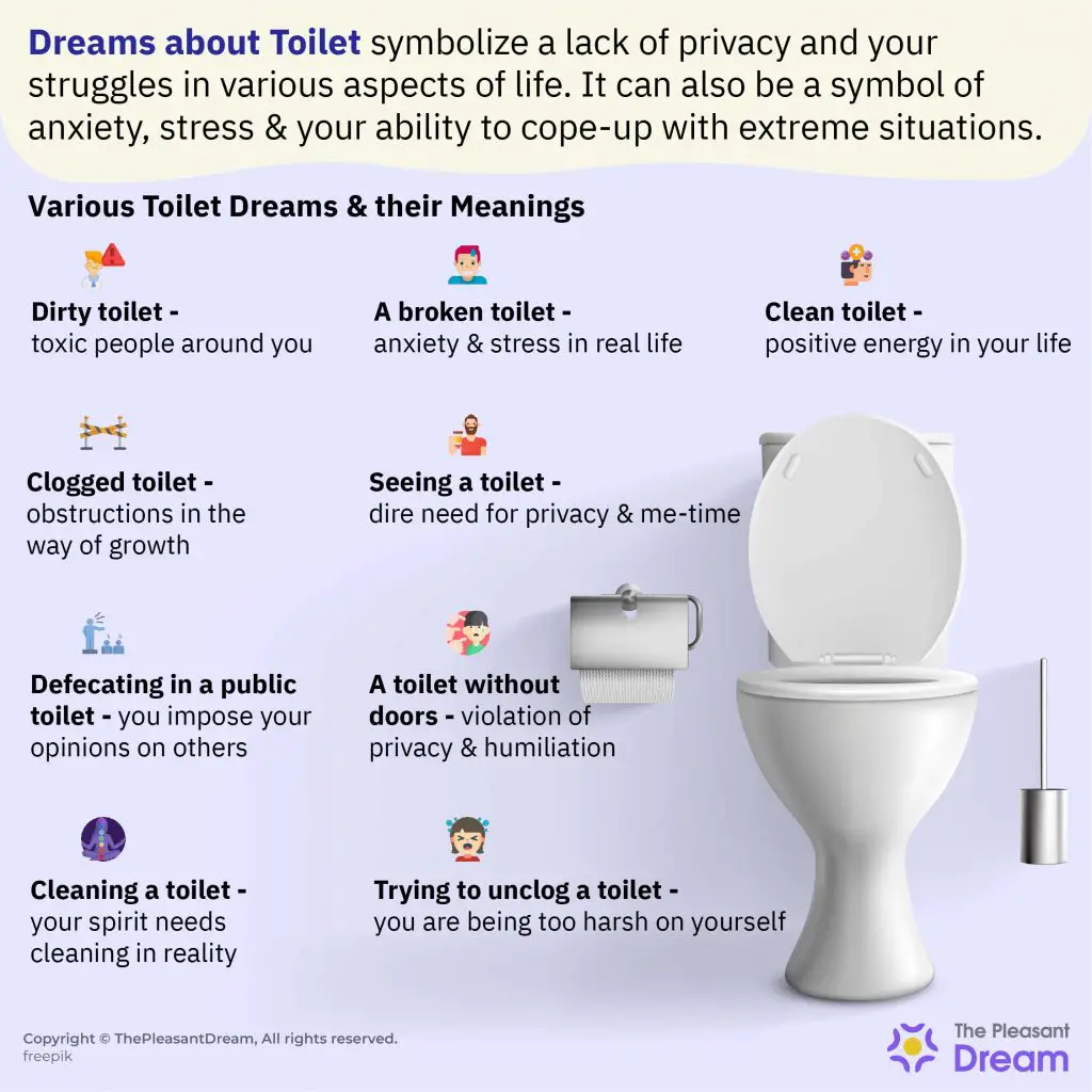 Unusual Interpretations Of Dreaming Of Poop In Toilet