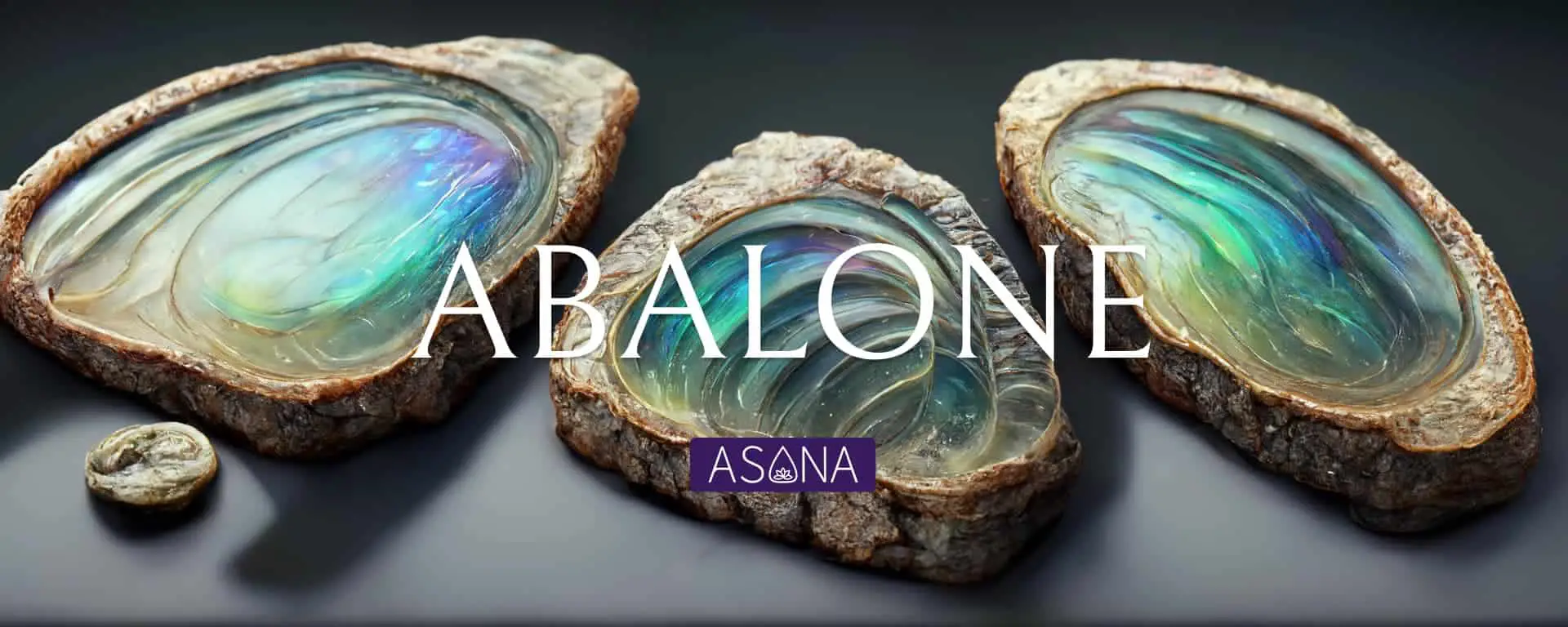 Uses Of Abalone Shell In Modern Times