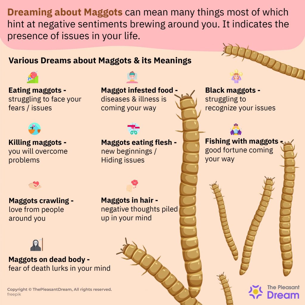 What Do Maggots Mean In A Dream?