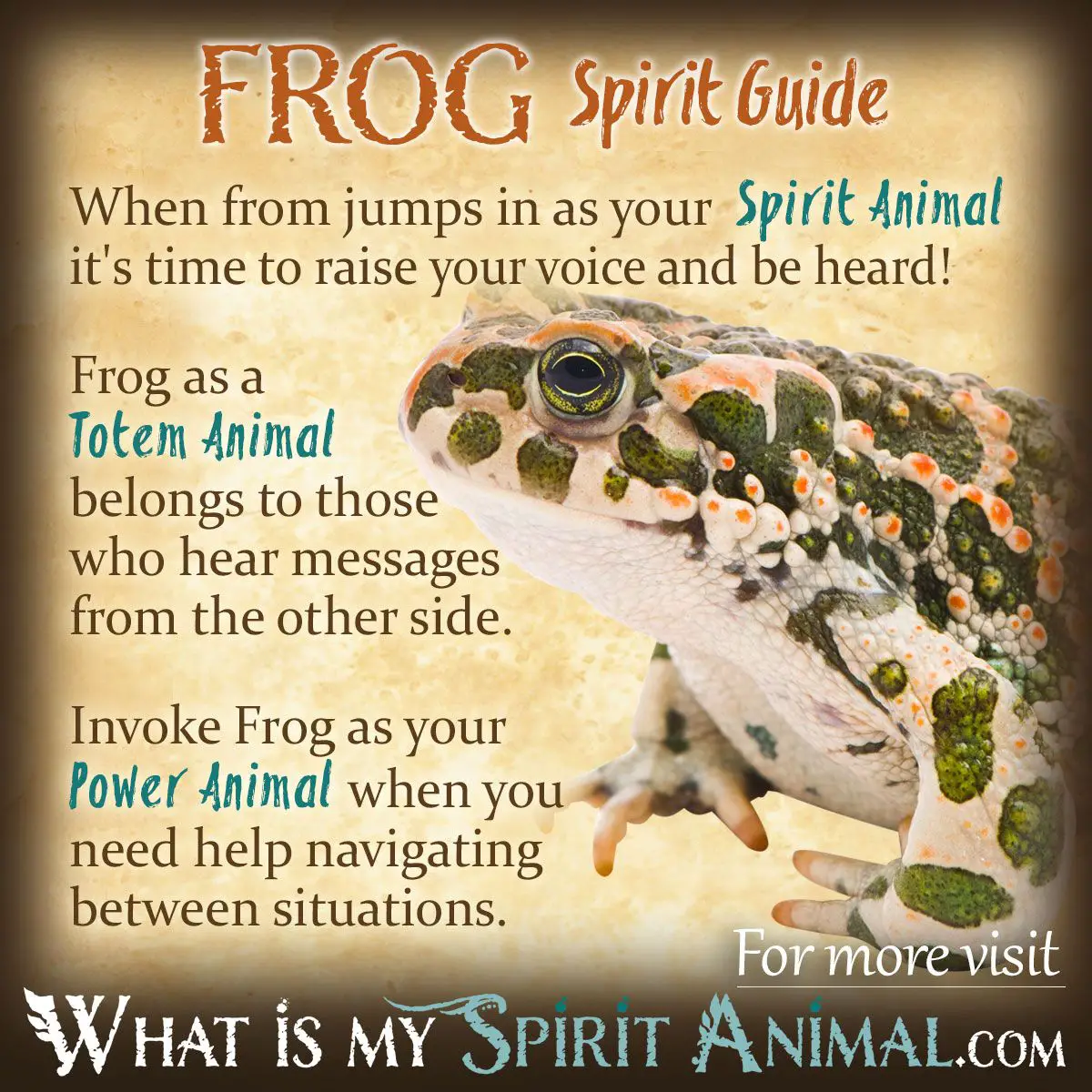 What Does A Frog Symbolize?