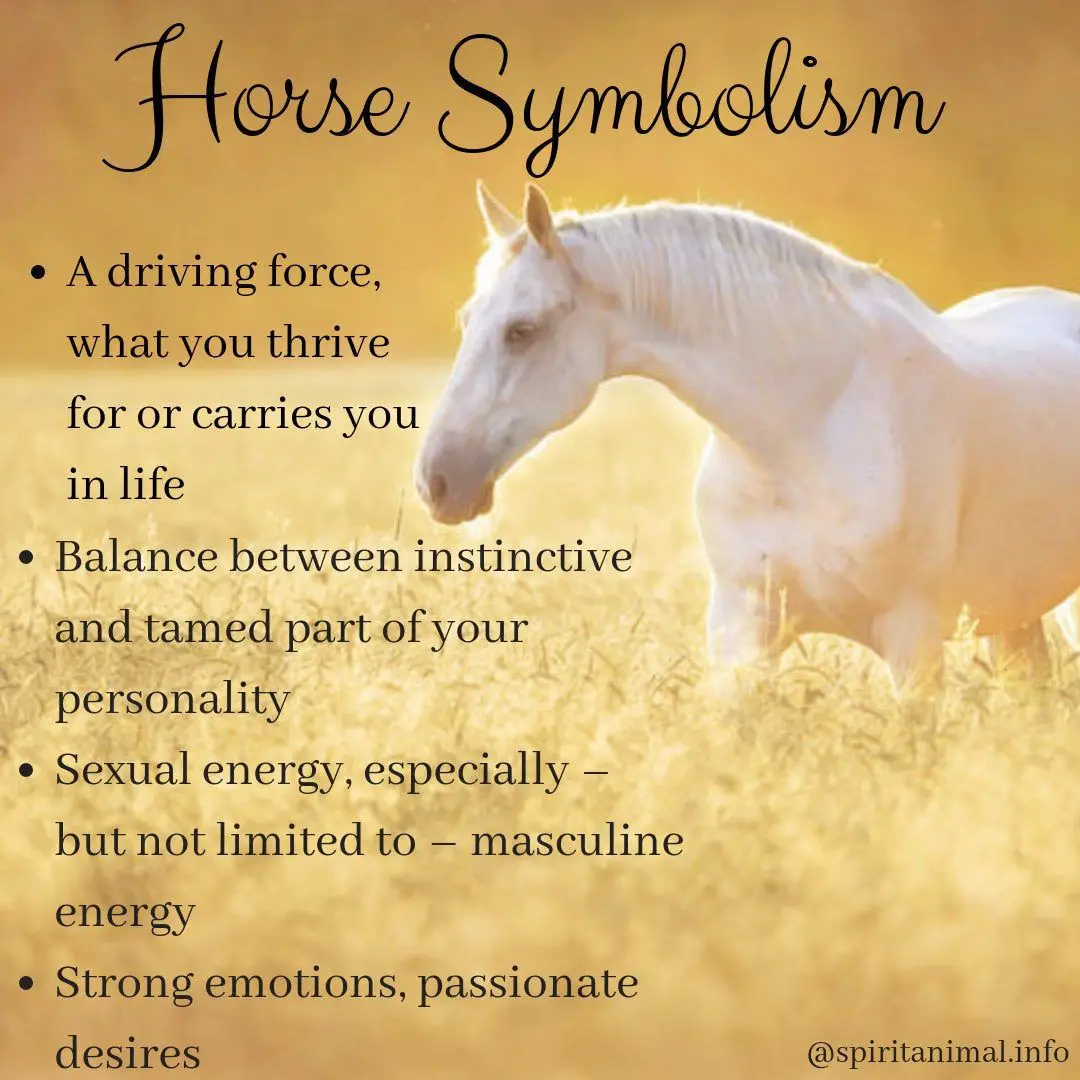 What Does A Horse Symbolize Spiritually?